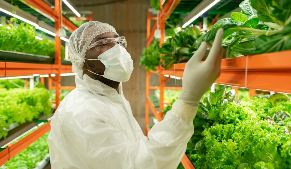 Animal & Plant Science