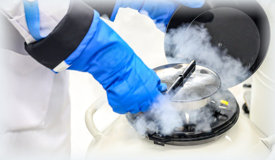 Cold & Cryo