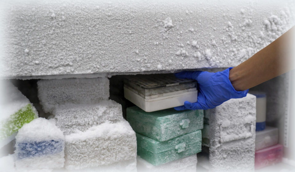 Freezer Boxes & Racks