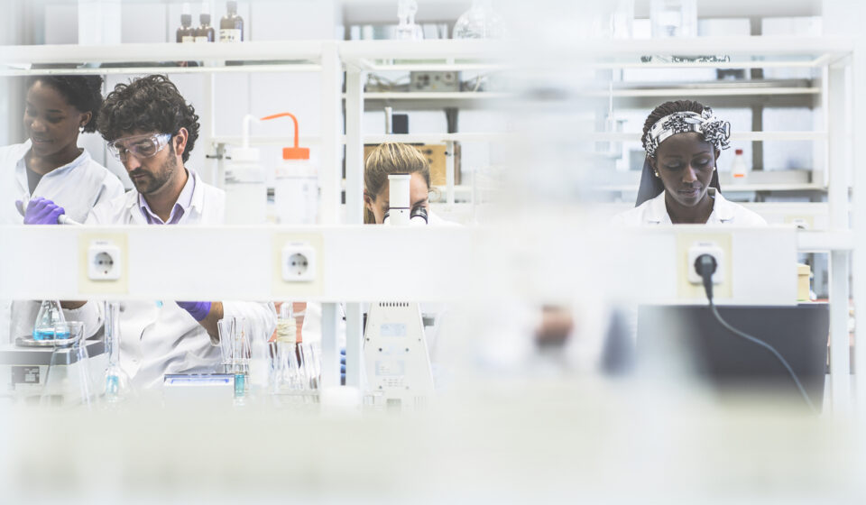 Lab Organization