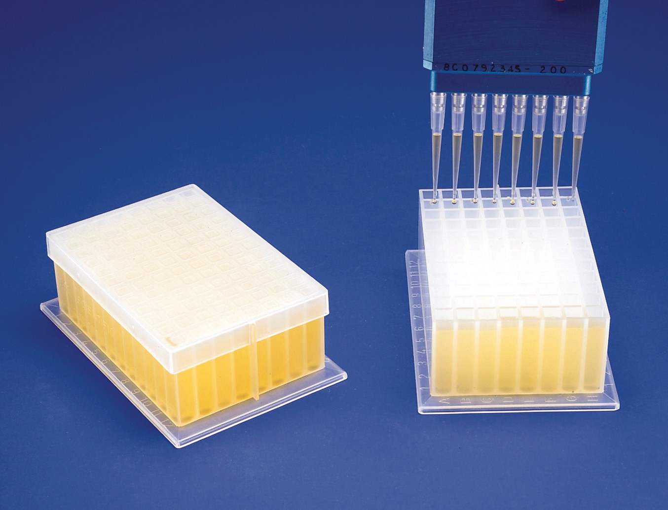 SP Bel-Art Deep-Well Plate; Sterile, 96 Places, 2ml, Plastic, 5 x 3⅜ x 1⅝ in. (Pack of 24)