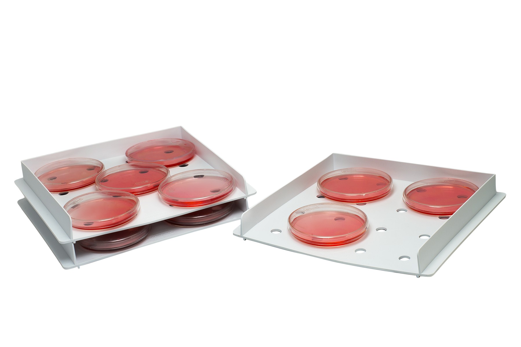 Bel-Art SP Scienceware Polypropylene Sterilizing Trays and Covers:Dishes: Trays